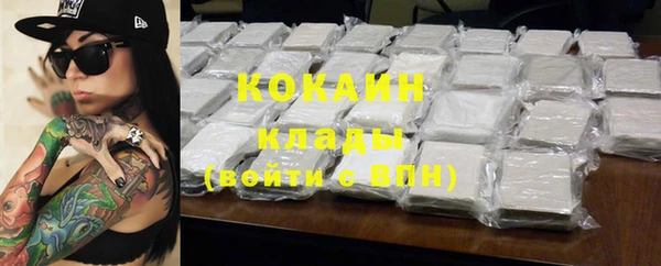 шишки Вяземский