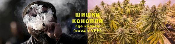 шишки Вяземский
