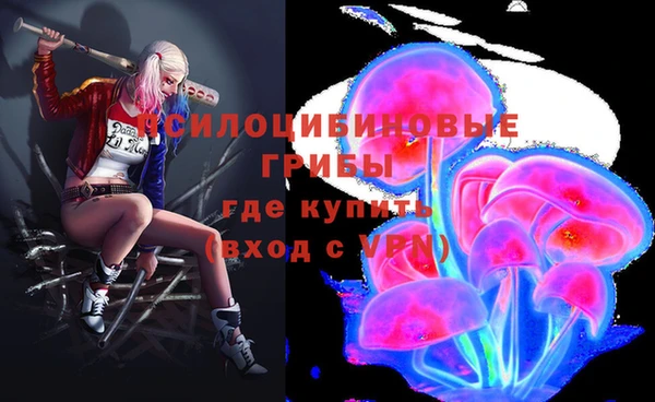 шишки Вяземский
