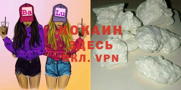 шишки Вяземский